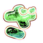 061