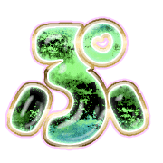 078