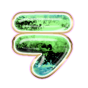 119