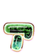127
