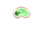 231