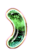 235