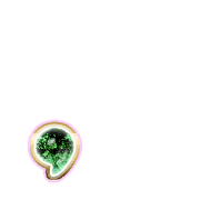 245