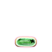 250