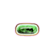 251
