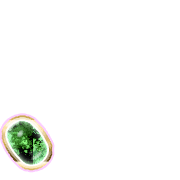 256