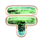 265