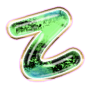 305