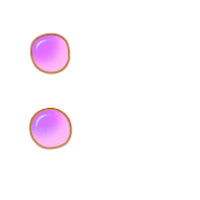 244
