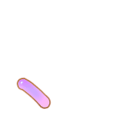 256