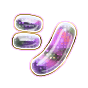 092