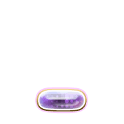 250