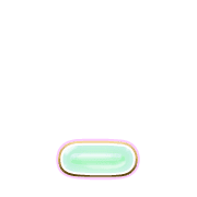 250