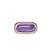 251