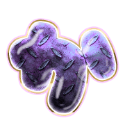 006