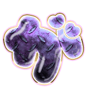 056