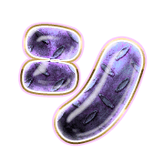 092
