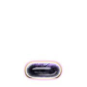 250