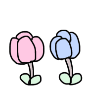 019