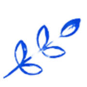 034