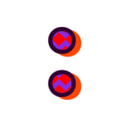 244