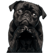 029