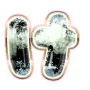 009