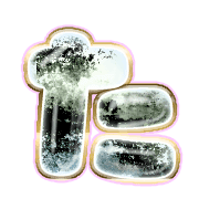 016