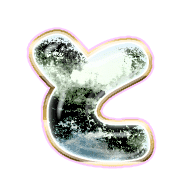 020