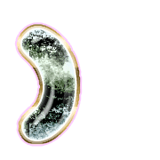 235