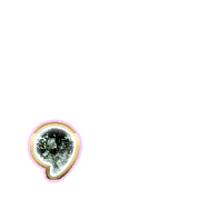 245
