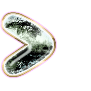 249