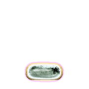 250