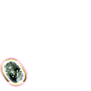 256