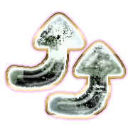 270