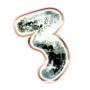 283