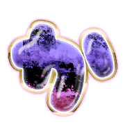 006