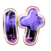 009