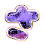 011