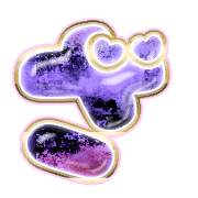 061