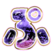 078