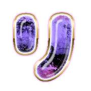 120