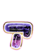 127