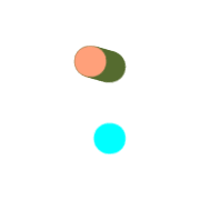 244