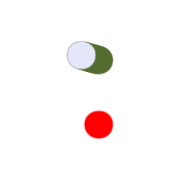 244