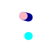 244