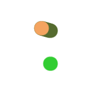244