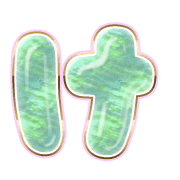 009