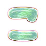010