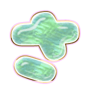 011